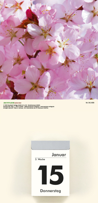 Bildrückwände für Typ 301 und 302 Blumen soriert 2027