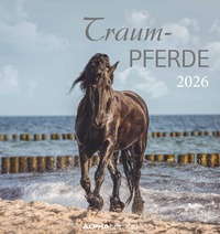 Alpha Edition - Traumpferde Kalender 2026 – Postkartenkalender 16×17 cm mit Pferdemotiven, zum Aufstellen oder Aufhängen, dekorativer Tischkalender & Geschenkidee für Pferdeliebhaber