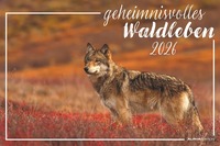Alpha Edition - Geheimnisvolles Waldleben Kalender 2026 – Bildkalender 49,5x33 cm – Tiere & Pflanzen in heimischen Wäldern – Für Tier- und Naturfreunde – Sprachneutrales Kalendarium