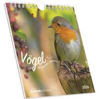Alpha Edition - Vögel in unserem Garten 2026 – Postkartenkalender 16×17 cm mit 53 heimischen Vogelmotiven, dekorativer Tisch- & Wandkalender zum Verschicken, Sammeln & Verschenken