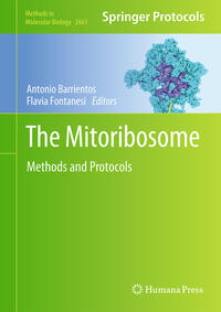 The Mitoribosome
