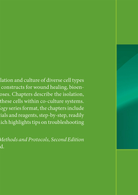 Skin Tissue Engineering