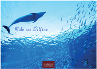 Wale und Delfine Kalender 2026 – Wandkalender | Fotokalender Tierkalender 35x50cm Grosses Format - Hochwertige Fotografien von Walen und Delfinen, die jeden Monat begeistern.