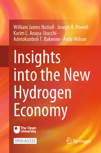 Insights into the New Hydrogen Economy