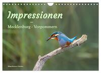 Impressionen aus Mecklenburg - Vorpommern (Wandkalender 2026 DIN A4 quer), CALVENDO Monatskalender