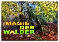Magie der Wälder Britanniens (Tischkalender 2026 DIN A5 quer), CALVENDO Monatskalender