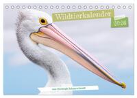 Wildtierkalender (Tischkalender 2026 DIN A5 quer), CALVENDO Monatskalender