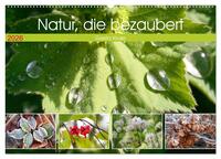 Natur, die bezaubert (Wandkalender 2026 DIN A2 quer), CALVENDO Monatskalender