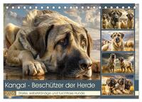 Kangal - Beschützer der Herde. Starke, selbstständige und furchtlose Hunde (Tischkalender 2026 DIN A5 quer), CALVENDO Monatskalender