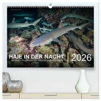 Haie in der Nacht (hochwertiger Premium Wandkalender 2026 DIN A2 quer), Kunstdruck in Hochglanz