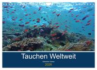 Tauchplätze Weltweit (Wandkalender 2026 DIN A4 quer), CALVENDO Monatskalender