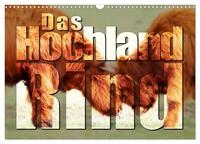 Das Hochlandrind (Wandkalender 2026 DIN A3 quer), CALVENDO Monatskalender