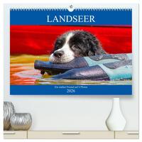 Landseer - Ein starker Freund auf 4 Pfoten (hochwertiger Premium Wandkalender 2026 DIN A2 quer), Kunstdruck in Hochglanz