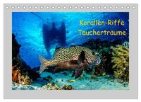 Korallen-Riffe Taucherträume (Tischkalender 2026 DIN A5 quer), CALVENDO Monatskalender