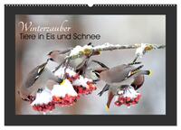 Winterzauber - Tiere in Eis und Schnee (Wandkalender 2026 DIN A2 quer), CALVENDO Monatskalender