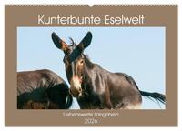 Kunterbunte Eselwelt - Liebenswerte Langohren (Wandkalender 2026 DIN A2 quer), CALVENDO Monatskalender