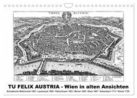 TU FELIX AUSTRIA - Wien in alten Ansichten (Wandkalender 2026 DIN A4 quer), CALVENDO Monatskalender