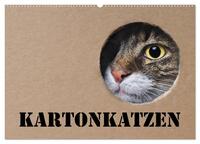 Karton Katzen (Wandkalender 2026 DIN A2 quer), CALVENDO Monatskalender