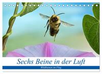 Sechs Beine in der Luft - Wildbienen im Flug (Tischkalender 2026 DIN A5 quer), CALVENDO Monatskalender