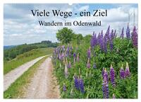 Viele Wege - ein Ziel Wandern im Odenwald (Wandkalender 2026 DIN A2 quer), CALVENDO Monatskalender