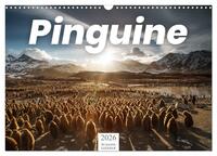 Pinguine - Die sympathischen Frack-Träger (Wandkalender 2026 DIN A3 quer), CALVENDO Monatskalender