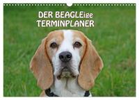 DER BEAGLEige TERMINPLANER (Wandkalender 2026 DIN A3 quer), CALVENDO Monatskalender