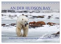 AN DER HUDSON BAY (Tischkalender 2026 DIN A5 quer), CALVENDO Monatskalender