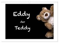Eddy, der Teddy (Wandkalender 2026 DIN A3 quer), CALVENDO Monatskalender