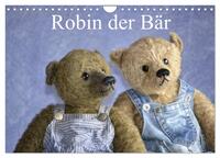 Robin der Bär (Wandkalender 2026 DIN A4 quer), CALVENDO Monatskalender
