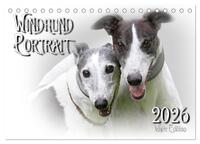 Windhund Portrait 2026 White Edition (Tischkalender 2026 DIN A5 quer), CALVENDO Monatskalender
