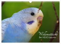 Wellensittiche - der NEUE Kalender (Wandkalender 2026 DIN A3 quer), CALVENDO Monatskalender