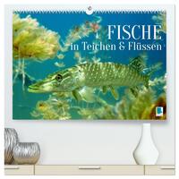 Fische in Teichen und Flüssen (hochwertiger Premium Wandkalender 2026 DIN A2 quer), Kunstdruck in Hochglanz