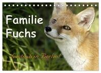 Familie Fuchs hautnah in Berlin (Tischkalender 2026 DIN A5 quer), CALVENDO Monatskalender