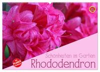 Rhododendron Schönheiten im Garten (Wandkalender 2026 DIN A2 quer), CALVENDO Monatskalender