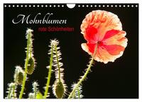 Mohnblumen - rote Schönheiten (Wandkalender 2026 DIN A4 quer), CALVENDO Monatskalender