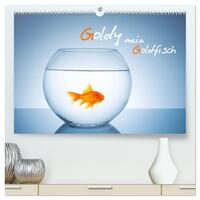 Goldy - mein Goldfisch (hochwertiger Premium Wandkalender 2026 DIN A2 quer), Kunstdruck in Hochglanz