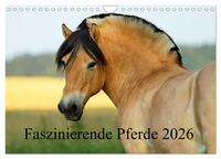 Faszinierende Pferde 2026 (Wandkalender 2026 DIN A4 quer), CALVENDO Monatskalender