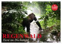 Regenwald. Tiere im Dschungel (Wandkalender 2026 DIN A3 quer), CALVENDO Monatskalender