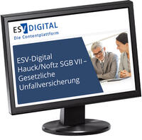ESV-Digital Hauck/Noftz SGB VIII AI - Kinder- und Jugendhilfe - Jahresabonnement