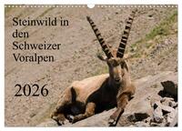 Steinwild in den Schweizer Voralpen (Wandkalender 2026 DIN A3 quer), CALVENDO Monatskalender