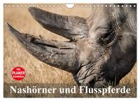 Nashörner und Flusspferde (Wandkalender 2026 DIN A4 quer), CALVENDO Monatskalender