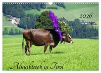 Almabtrieb in Tirol (Wandkalender 2026 DIN A3 quer), CALVENDO Monatskalender