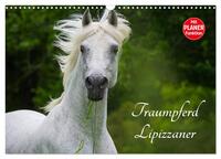 Traumpferd Lipizzaner (Wandkalender 2026 DIN A3 quer), CALVENDO Monatskalender