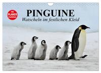 Pinguine - Watscheln im festlichen Kleid (Wandkalender 2026 DIN A4 quer), CALVENDO Monatskalender