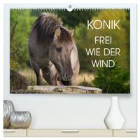 Konik - Frei geboren (hochwertiger Premium Wandkalender 2026 DIN A2 quer), Kunstdruck in Hochglanz