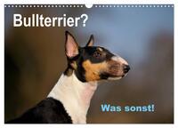 Bullterrier? Was sonst! (Wandkalender 2026 DIN A3 quer), CALVENDO Monatskalender