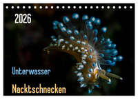Unterwasser - Nacktschnecken 2026 (Tischkalender 2026 DIN A5 quer), CALVENDO Monatskalender