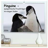 Pinguine - sympathische Frackträger im eisigen Süden (hochwertiger Premium Wandkalender 2026 DIN A2 quer), Kunstdruck in Hochglanz