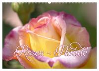 Rosen - Parade (Wandkalender 2026 DIN A2 quer), CALVENDO Monatskalender