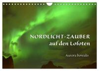 Nordlicht-Zauber auf den Lofoten. Aurora borealis (Wandkalender 2026 DIN A4 quer), CALVENDO Monatskalender